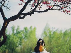 -九月鹰飞汉服摄影工作室