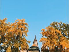 -北京石刻艺术博物馆(五塔寺)