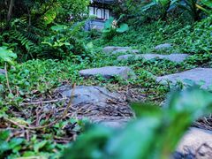 -深圳国际园林花卉博览园