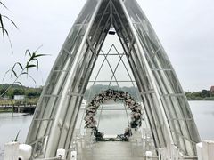 -大塘金香草谷