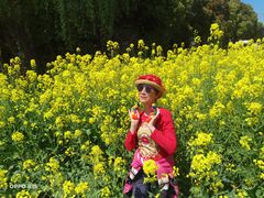 -浦星公路-路侧停车位