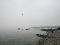 -星海湾跨海大桥