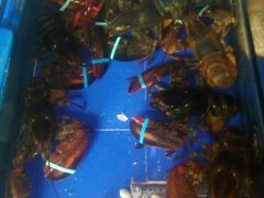 -山东八大碗山东老字号