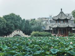 -莲池书院博物馆