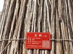 -北京上方山国家森林公园