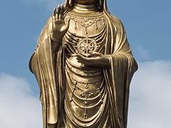 -紫竹林