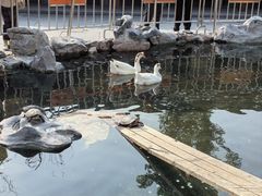 -龙华寺