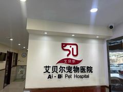 -艾贝尔宠物医院·24H转诊中心·肿瘤猫专科(江宁双龙店)
