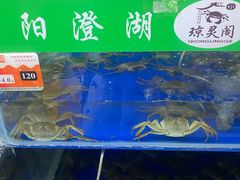 -阳澄湖大闸蟹·琼灵阁牌品牌连锁(吴中总店)