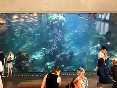景点-西雅图水族馆