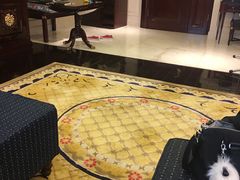 -深圳富苑皇冠假日套房酒店