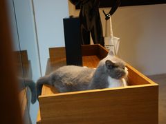 -盛邦家居建材广场