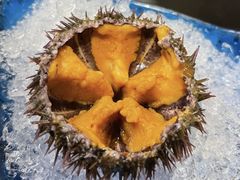 -红叶日本料理(三八广场店)