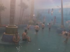 -金孔雀温泉旅游度假村