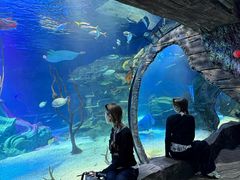 -沈阳海洋探索中心