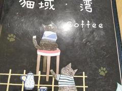 -猫域·湾主题猫咖·宠物吧(南坪城市广场店)
