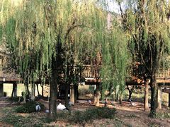 -无锡动物园·太湖欢乐园