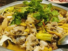 -陈三娃泡姜鸡