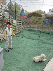 -萌宠亲子动物乐园(槐房万达店)