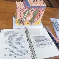 -小乐化妆美甲半永久培训学校