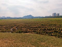 -光明小镇欢乐田园