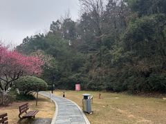 -桃花岭景区