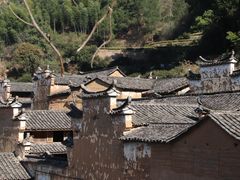 -杨家堂村