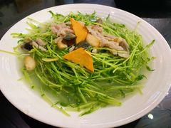 上汤豆苗-花溪雨·森林餐厅(石基店)