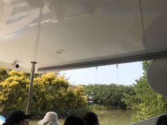 -大湾区中央湿地公园
