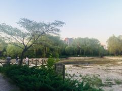 -望湖公园