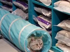 -小时光咖啡馆(开森度假森林店)