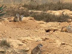 -杭州野生动物世界