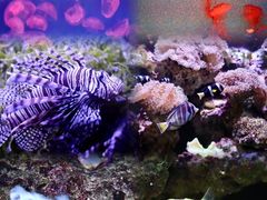 -杭州长乔极地海洋公园