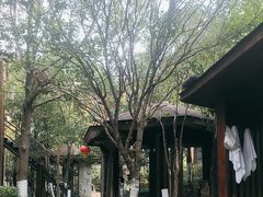 -张家港金凤凰度假村温泉