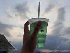 -三亚蜈支洲岛旅游区