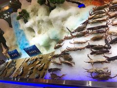-锤头鲨毛肚海鲜烤肉自助餐厅(国购广场店)