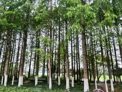 -云龙湖旅游景区