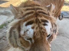 -杭州野生动物世界