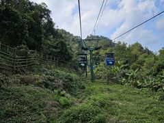 -野象谷景区