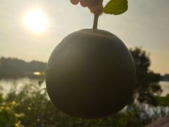 -美兰湖景区