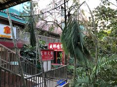 -威邵鸡煲(西华路总店)