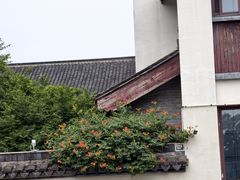 -常熟方塔园