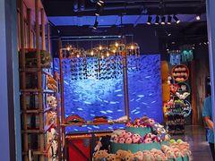 -沈阳海洋探索中心