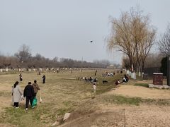 -汉长安城未央宫国家考古遗址公园