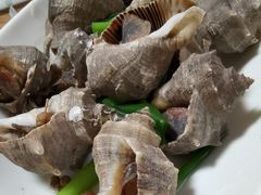 海螺-正宗天津烧麦馆(柳州路店)