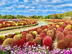 -花开海上生态园