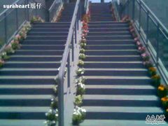 -同济大学(嘉定校区)