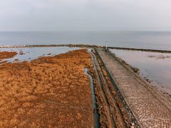 -南汇嘴观海公园