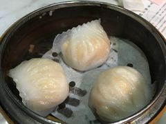 -糖朝(尖沙咀店)