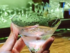-SPEYSIDE 威士忌&鸡尾酒吧